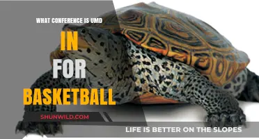 Where Do the Terrapins Play? UMD Basketball Conference Explained