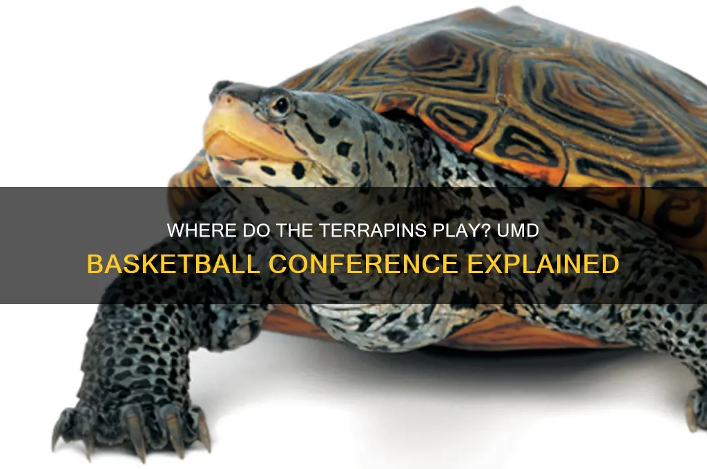 what conference is umd in for basketball