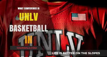 UNLV Basketball Conference: Where Do They Stand?