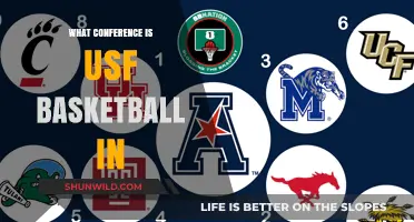 USF Basketball Conference: Where Do They Stand?