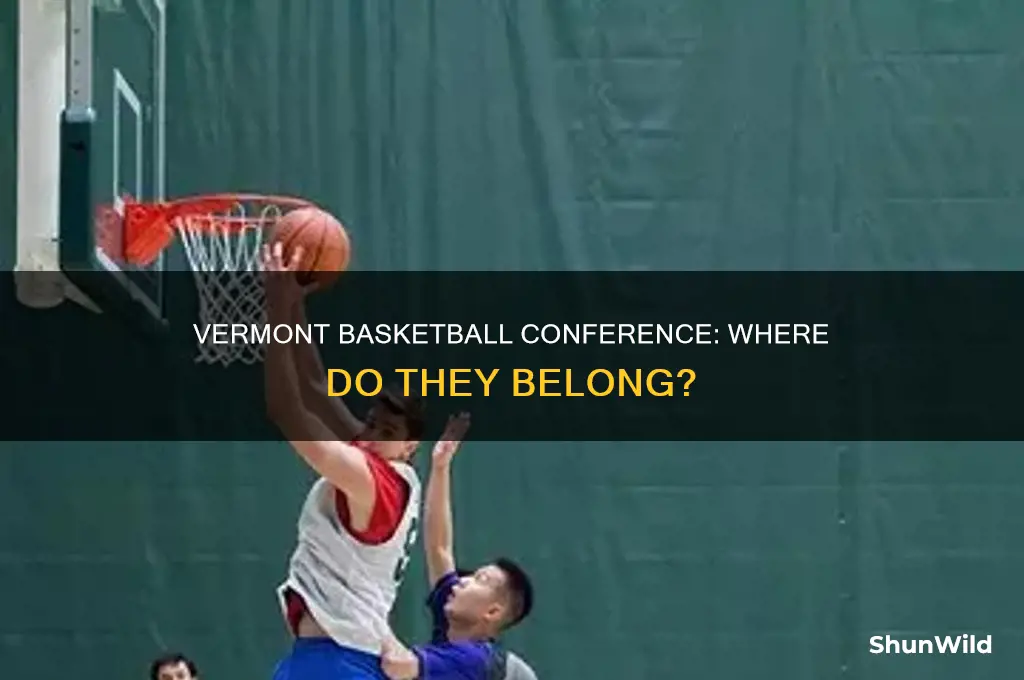 what conference is vermont basketball in