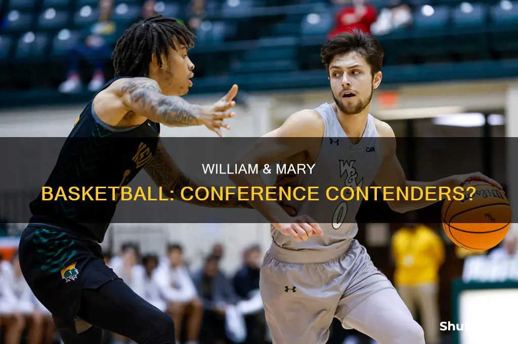what conference is william and mary basketball in