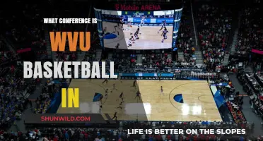 WVU Basketball Conference: Where Do They Stand?