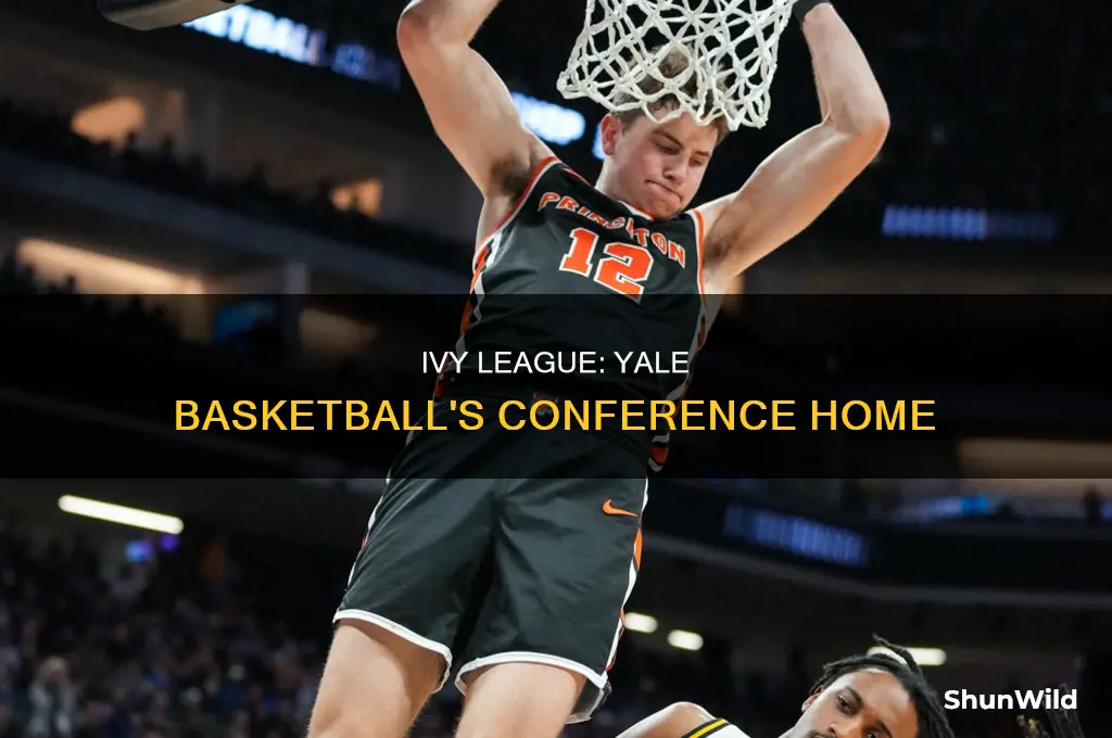 what conference is yale basketball in