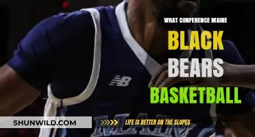 Maine Black Bears: Conference Contenders?