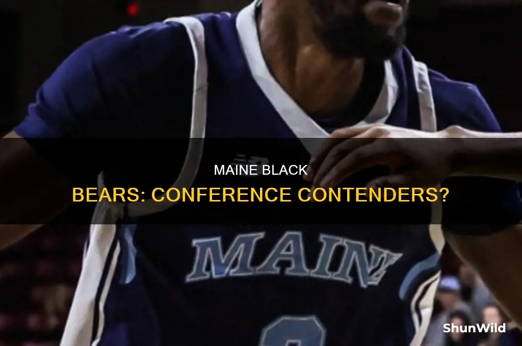 what conference maine black bears basketball