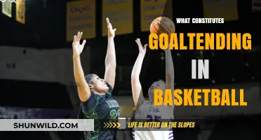 Goaltending in Basketball: What's the Call?
