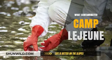 Toxic Truth: Uncovering the Contaminants at Camp Lejeune