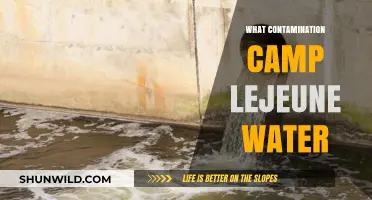 Camp Lejeune Water Contamination: Uncovering the Toxic Legacy and Impact