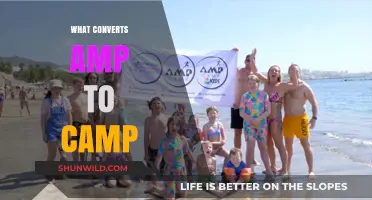 Understanding the Enzymatic Process: How AMP Transforms into cAMP