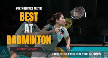 Badminton's Best: Which Country Rules the Court?