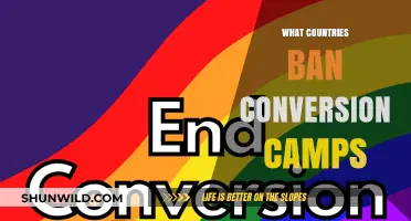Global Ban on Conversion Camps: Which Countries Outlaw This Practice?