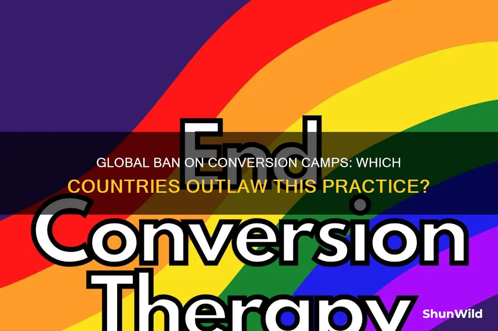 what countries ban conversion camps