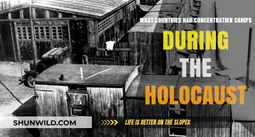 Holocaust Concentration Camps: Nations Involved in Systematic Persecution and Genocide
