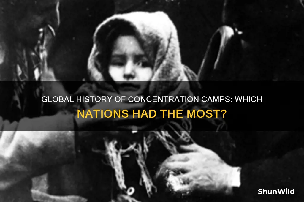 what countries had the most concentration camps