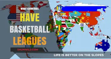 Basketball Leagues Around the Globe: Which Countries Have Them?