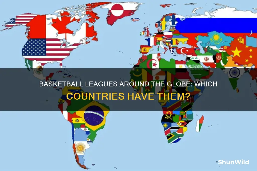 what countries have basketball leagues