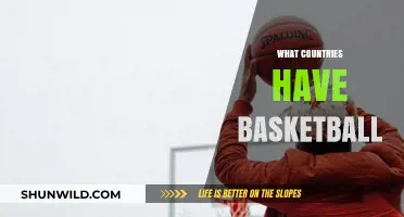 Basketball's Global Reach: Which Countries Play the Game?