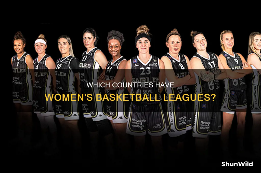 what countries have professional womens basketball leagues
