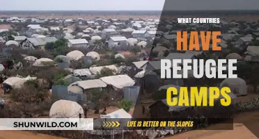 Global Refugee Crisis: Exploring Countries Hosting Camps Worldwide