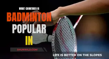 Badminton's Most Popular Countries