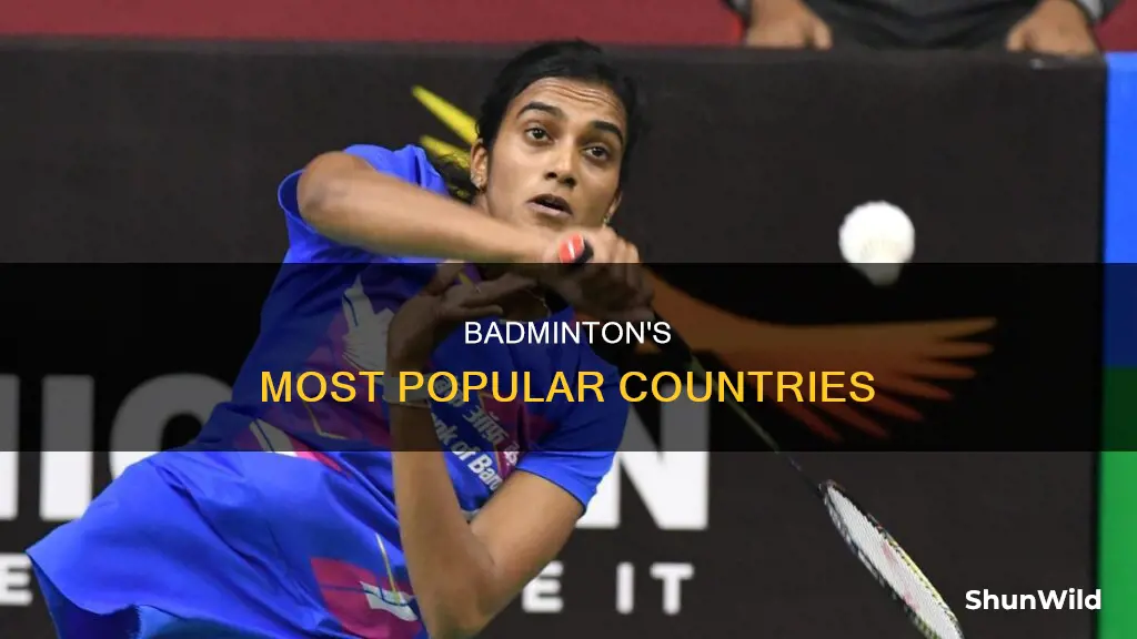 what countries is badminton popular in
