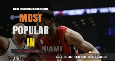 Basketball's Global Hotspots: Where Is It Most Popular?