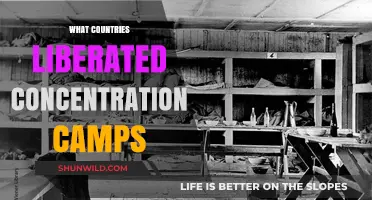 Liberation of Concentration Camps: Allied Nations' Role in WWII