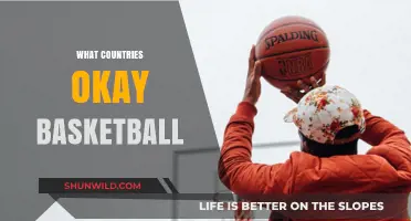 Basketball's Global Reach: Which Countries Play the Game?