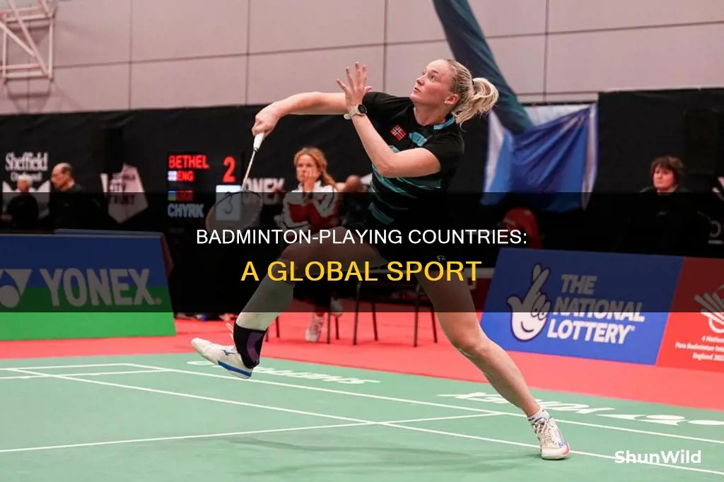 what countries play badminton