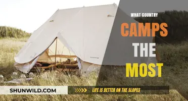 Exploring Global Camping Trends: Which Country Camps the Most?