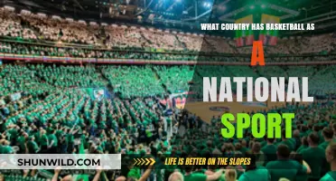 Basketball Nations: Which Countries Have It as a National Sport?