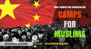 China's Uyghur Detention Camps: A Modern Human Rights Crisis