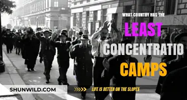 Exploring Nations with Minimal or No Concentration Camps: A Global Overview