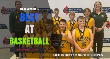 Who's the Best at Basketball?
