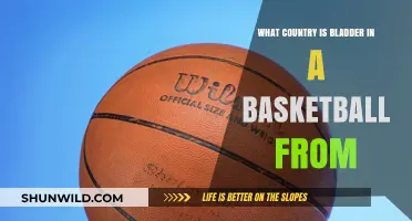 Basketball Bladder Mystery: What Country Origin?