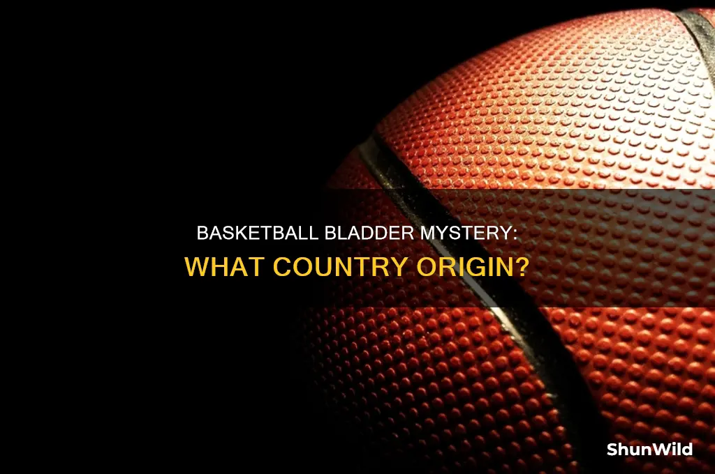 what country is bladder in a basketball from