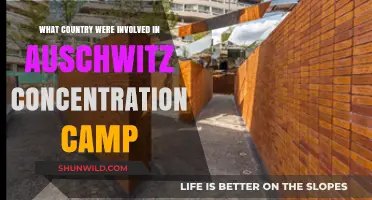 Auschwitz Concentration Camp: The Countries Involved and Their Roles