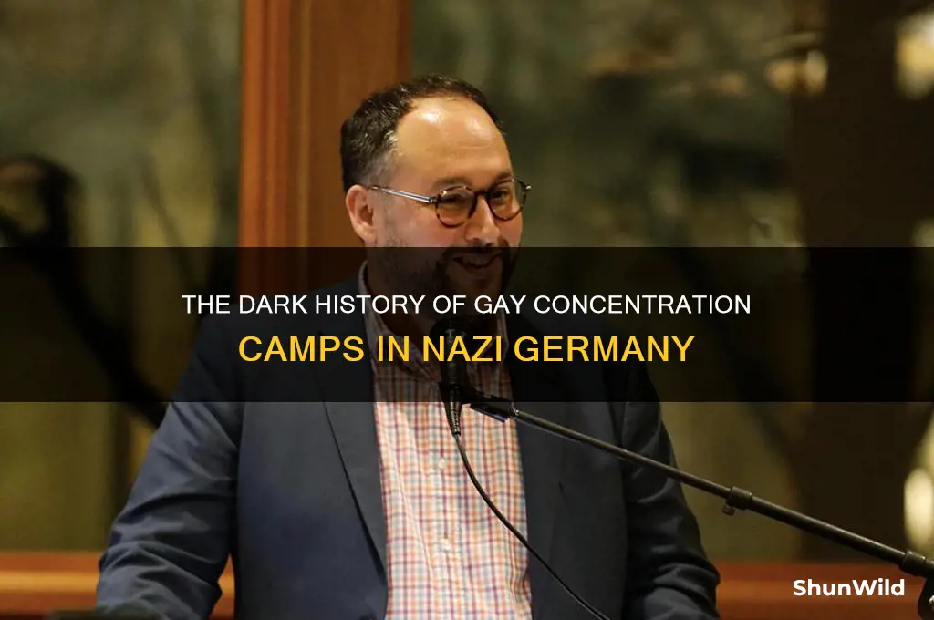 what country were the gay concentration camps located in