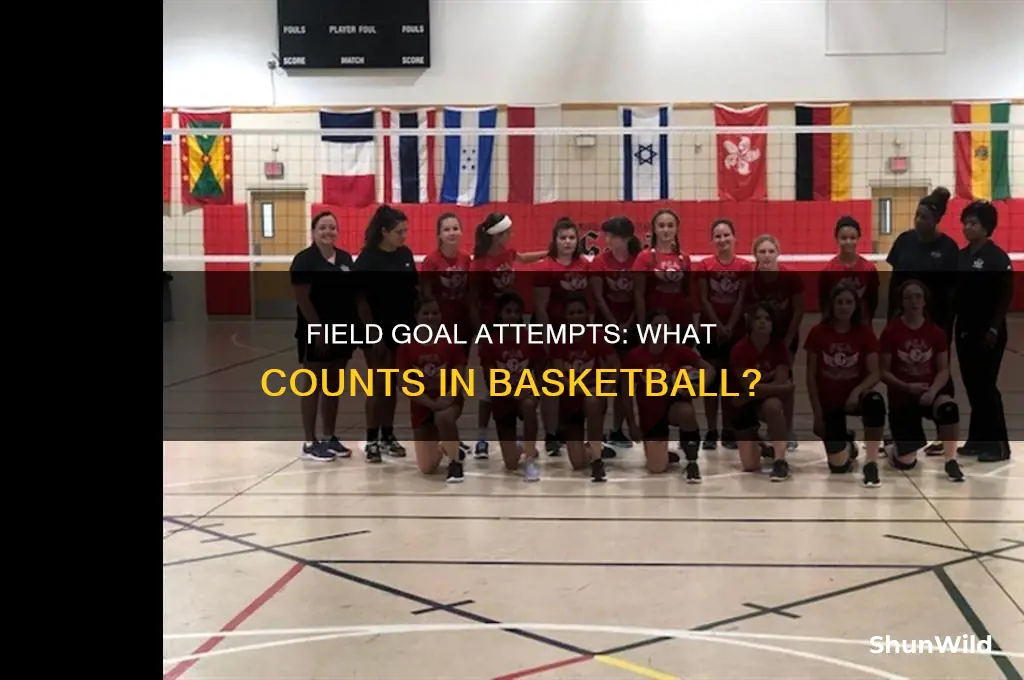 what counts as a field goal attempt in basketball