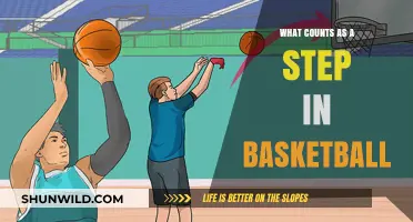 Steps, Swings, and Swishes: Defining Basketball's Nuanced Art