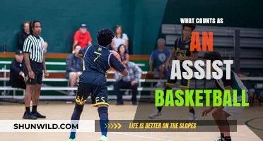 Assist Mastery: Defining Basketball's Unsung Hero