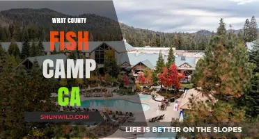 Exploring Fish Camp, CA: A Hidden Gem in Mariposa County