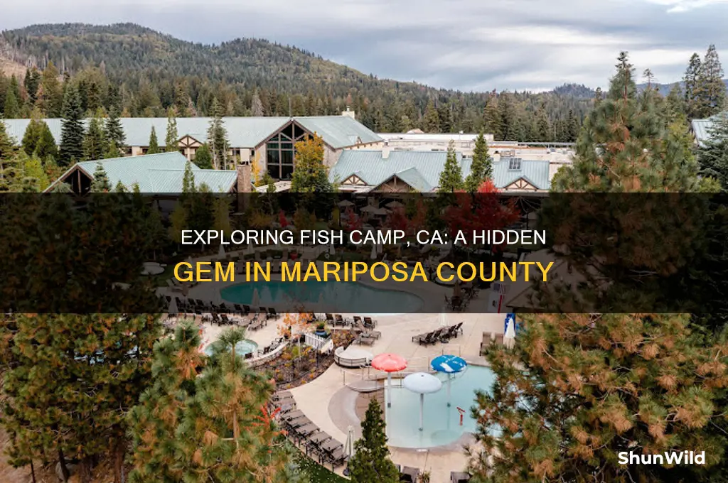 what county fish camp ca
