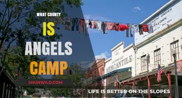 Discovering Angels Camp: Unveiling Its County Location in California