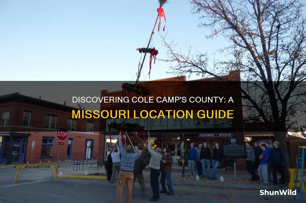 what county is cole camp