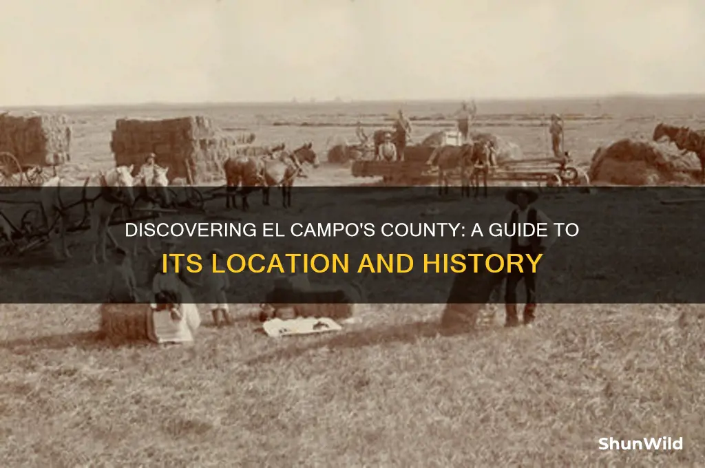 what county is el campo