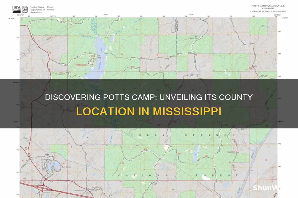 what county is potts camp