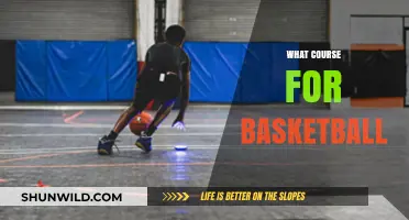 Best Courses to Become a Basketball Pro