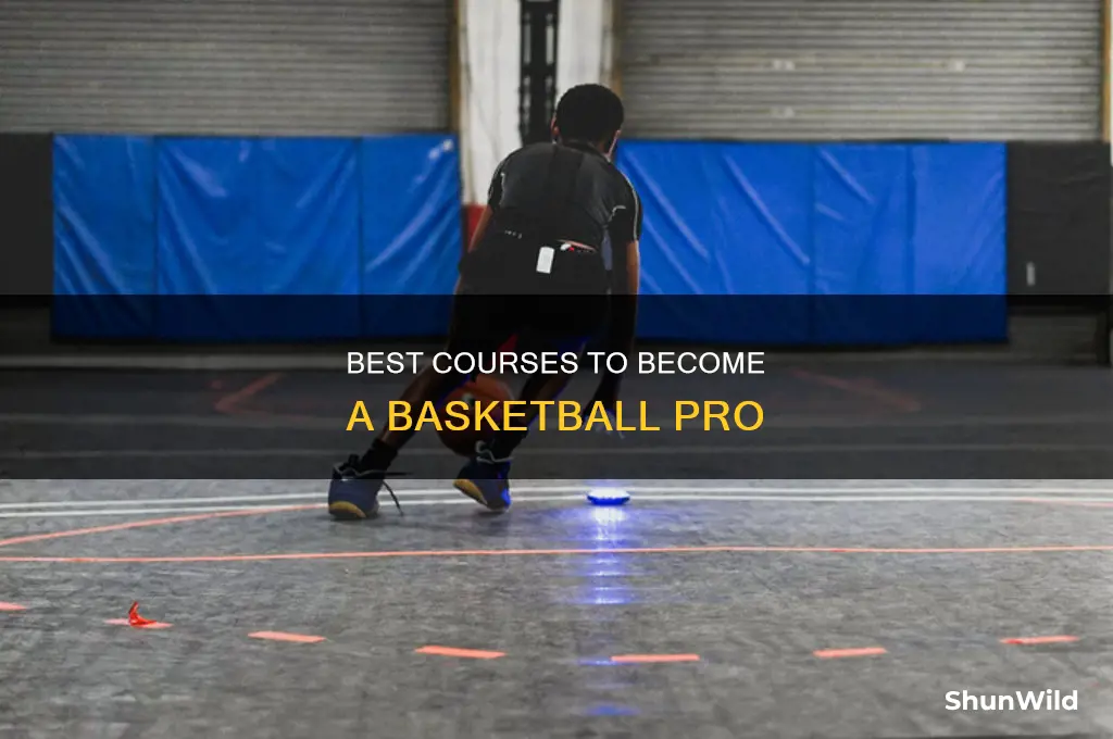 what course for basketball